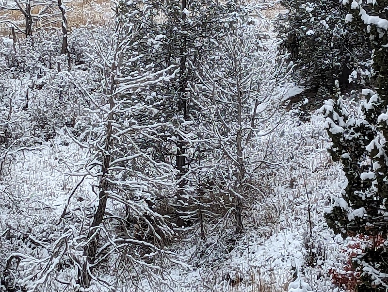 Mapleton Sawmill Hollow Trail Mountain Biking Route | Trailforks