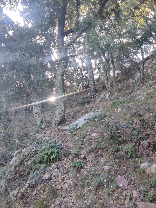 Matet Matet Pico Rapita y Espadán, Mountain Biking Route | Trailforks