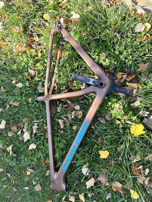 carbon chameleon frame