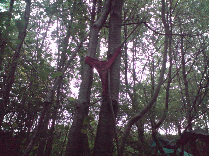 the reason we call em shaggers trails, we found a pair of thongs nd some shoes ... RAPE