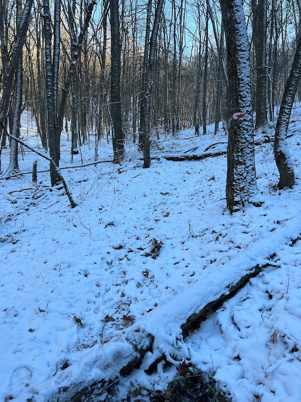 Dec 13, 2023 Rich Patch Loop Trail Trail Report Trailforks