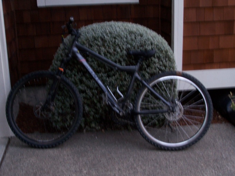 my xc bike