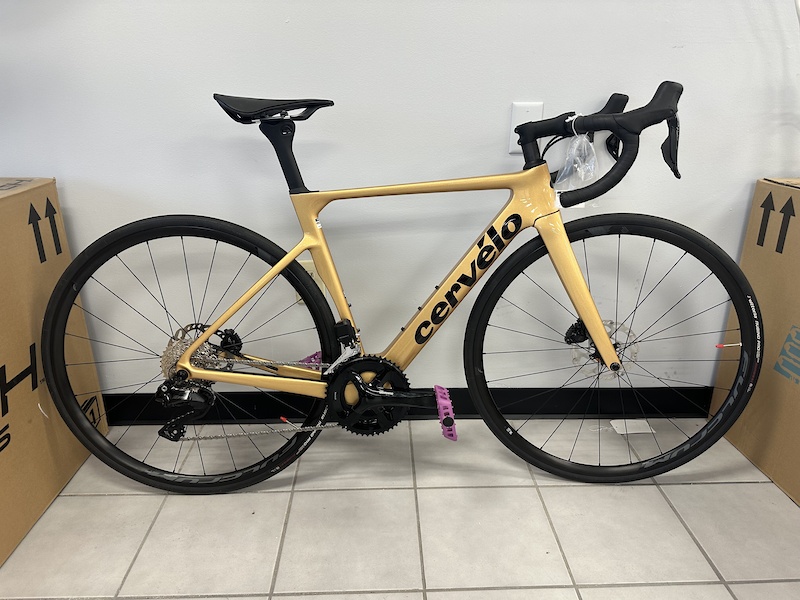 2024 Cervelo Soloist 51cm 105di2 For Sale