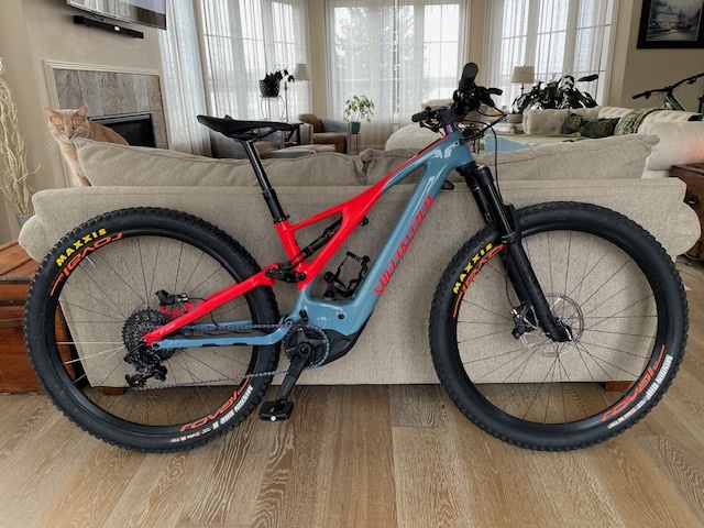 2019 turbo levo for sale