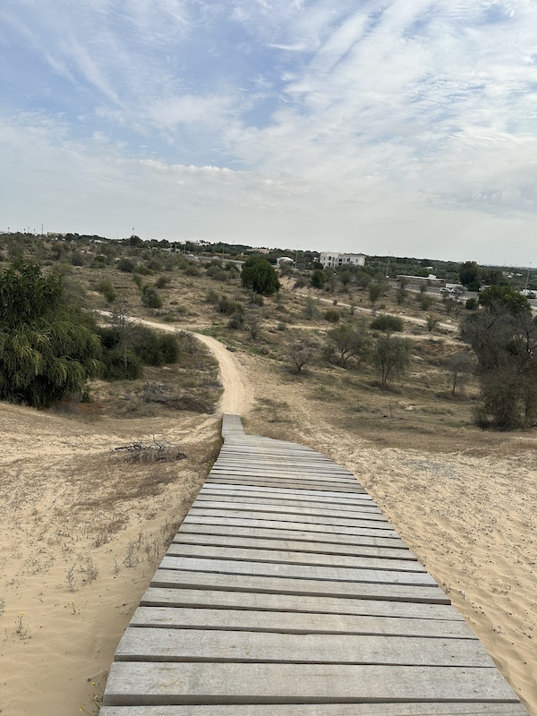 Mushrif Park, Dubai Mountain Biking Trails Trailforks
