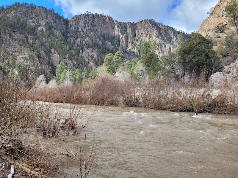 Middle Fork (from Gila Center to Meadows) Multi Trail - Silver City