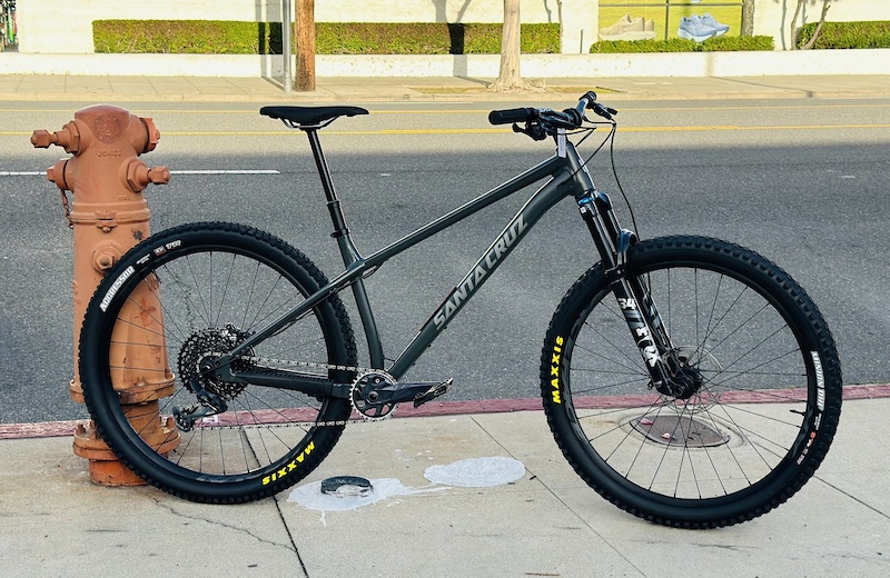 Santa cruz chameleon s online