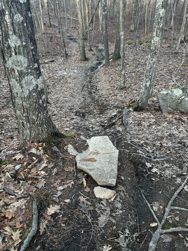 Canoe River Lands, Norton Mountain Biking Trails Trailforks