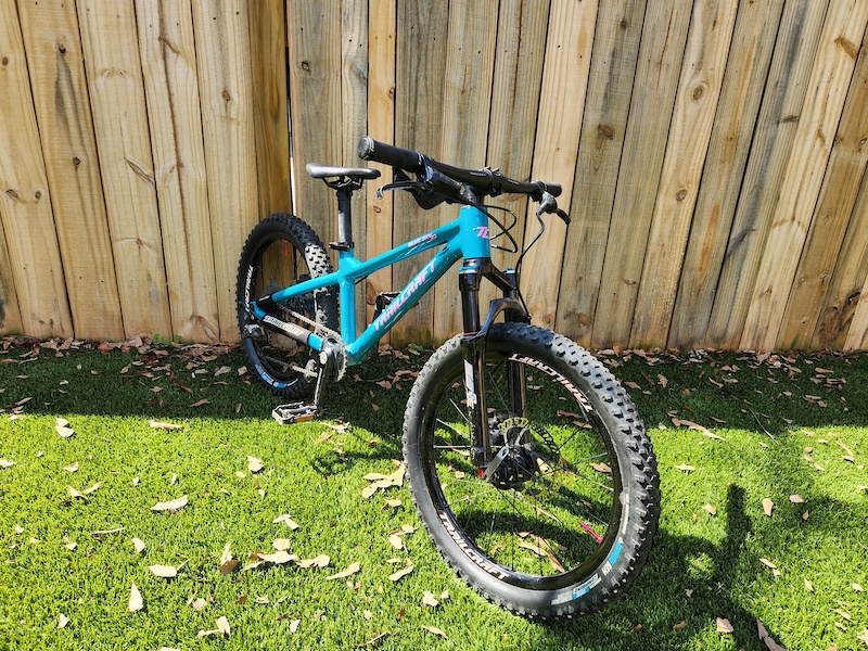 Trailcraft Cycles Bluesky Bicycles Discount Trailcraft Blue Sky 20