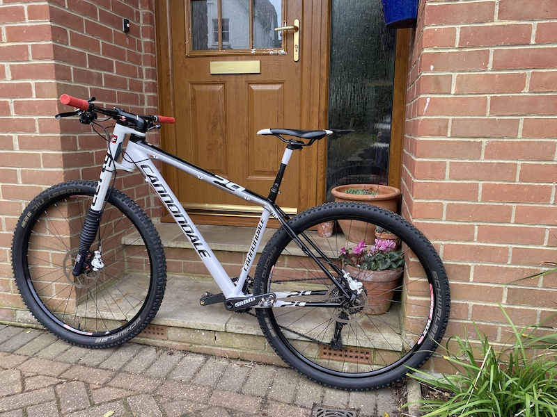 specialized pro sl bib shorts