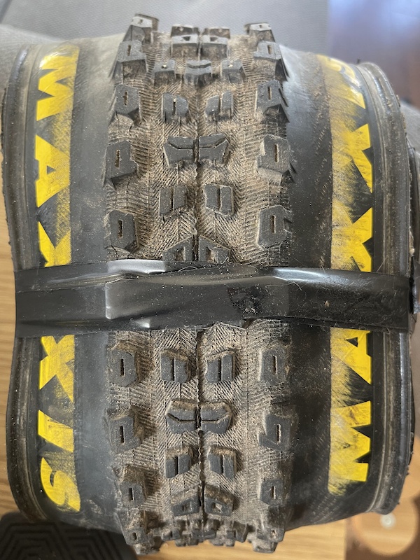 maxxis exo  tires