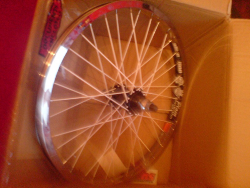 my new bmx back wheel with allaition back rim with xposer hub and white spokes.