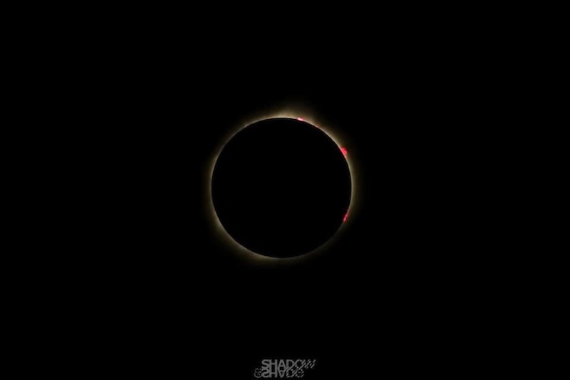 Your Guide to Viewing the Great North American Eclipse