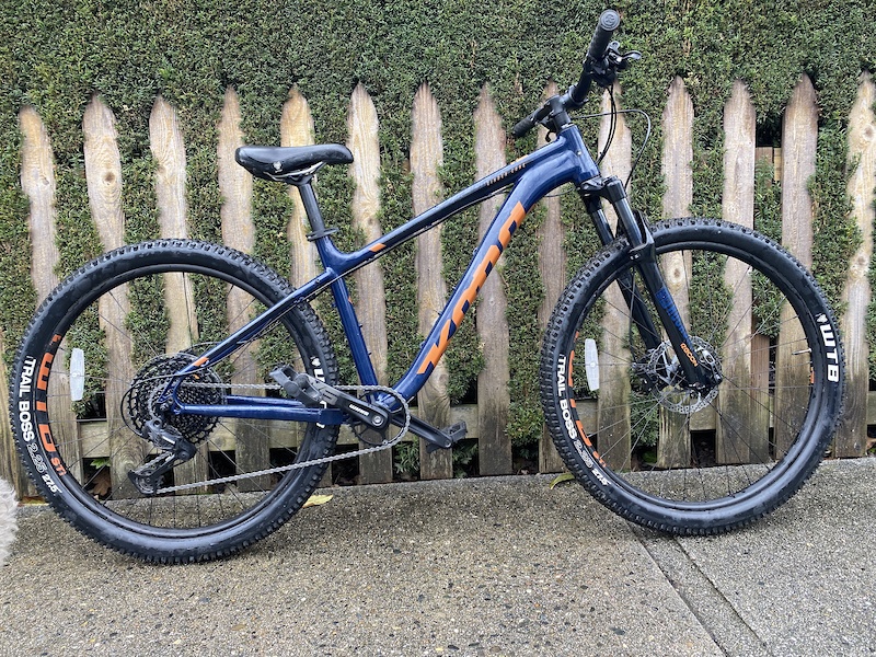kona cinder cone 2020