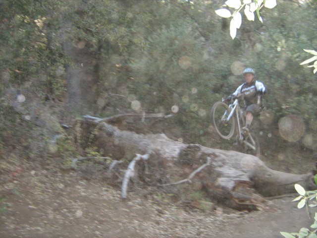 Fallen tree jump on Noble Canyon trail. Not really a freeride trail but still fun.