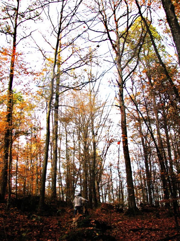 I just love taking pictures in the fall. so many colors out there :)