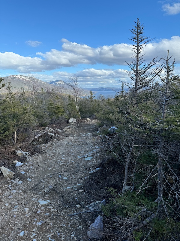 Norris Point, Newfoundland Mountain Biking Trails | Trailforks