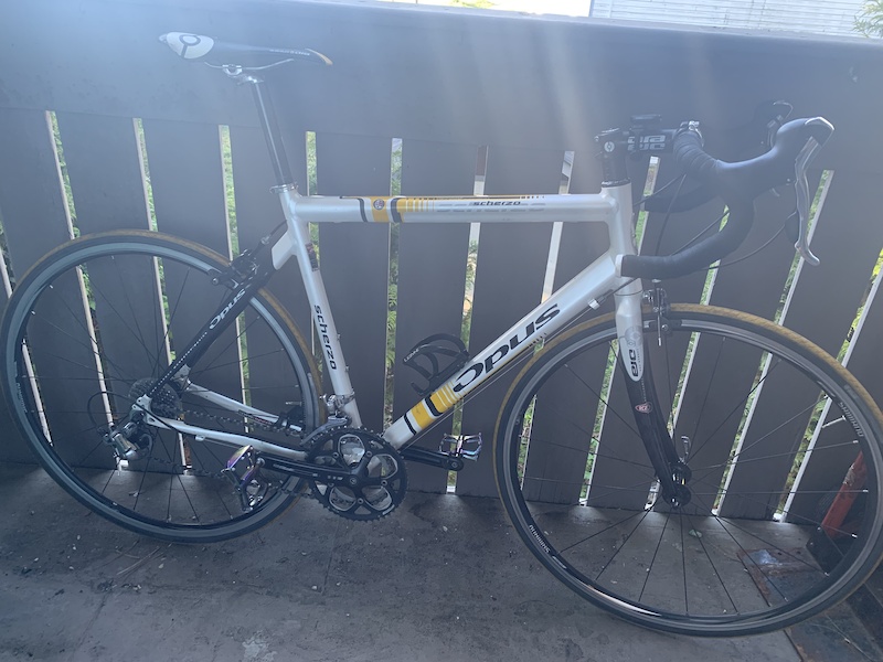 2020 Opus Scherzo 5556cm For Sale