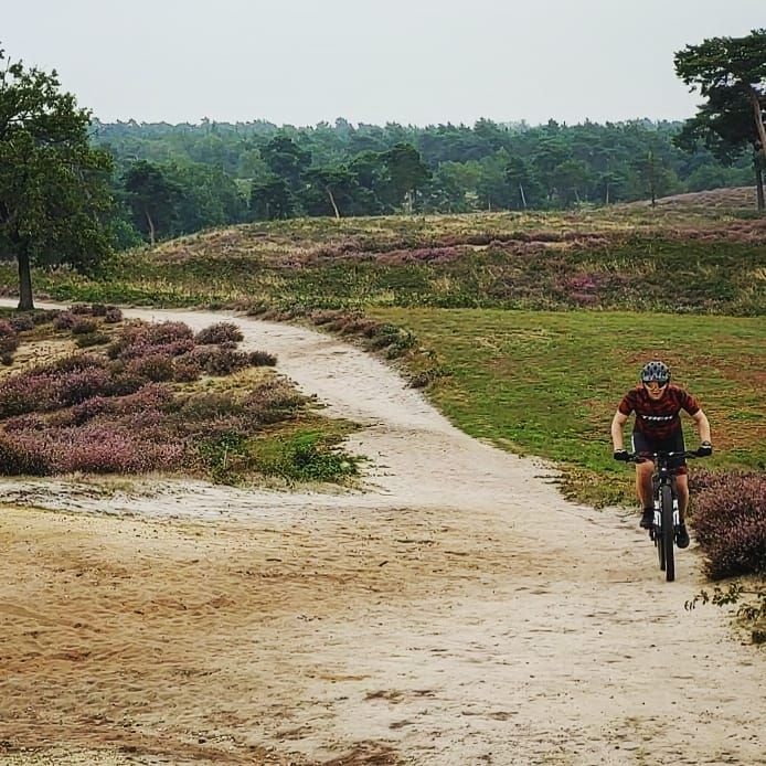 trail in the 'maasduinen' heading towards the watchtower