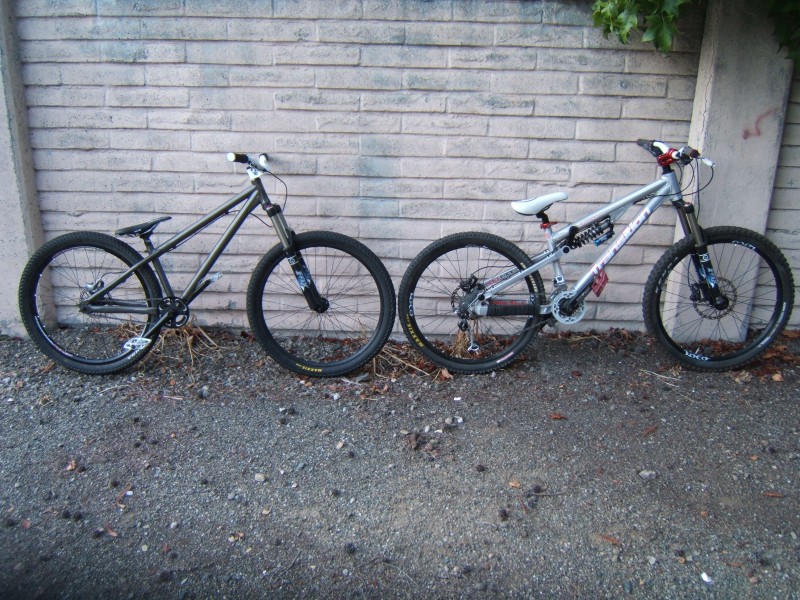 The bikes