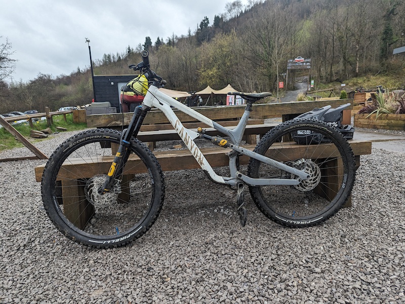 Fabio Wibmer Stumpjumper 2024 Canyon Authorized Spectral Fabio Wibmer