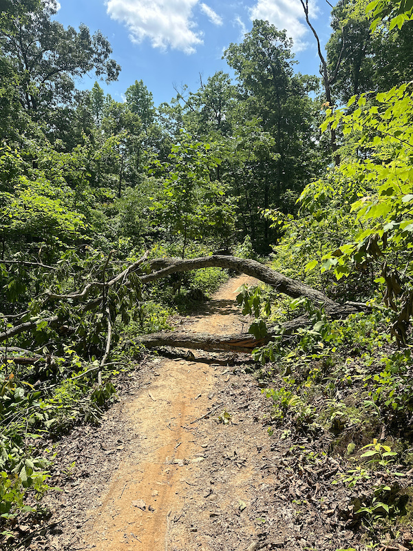 Rolling Ridge Multi Trail - Collegedale, Tennessee
