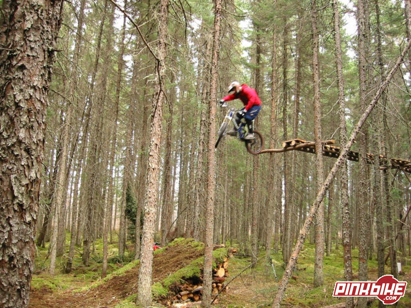 Pinkbike Poll: What Type of Mountain Biking Do You Do the Most? - Pinkbike