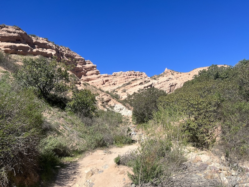 Red Rock Canyon Trail Hiking Trail - P4pb26763699 