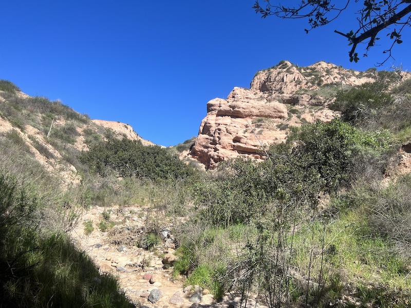 Red Rock Canyon Trail Hiking Trail - P4pb26763700 