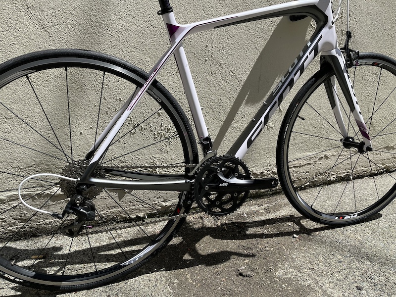 2014 Scott Solace 25 Contessa 54cm (med) For Sale