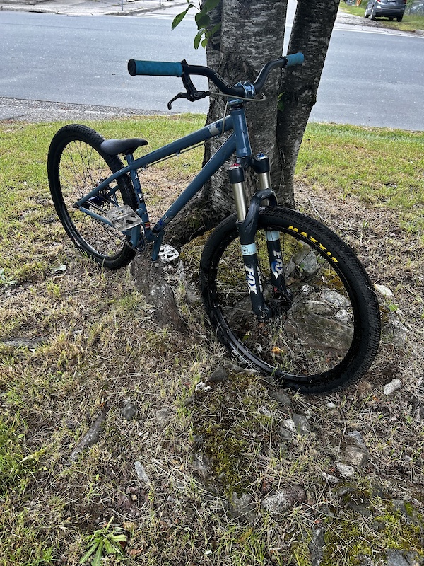 2011 Specialized P1 Custom For Sale