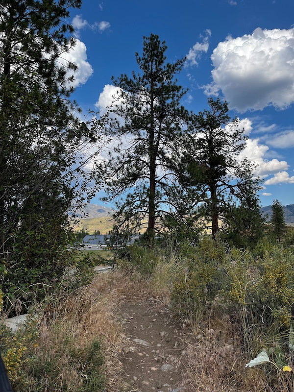 Meadowhawk Trail Mountain Biking Trail Winthrop, WA