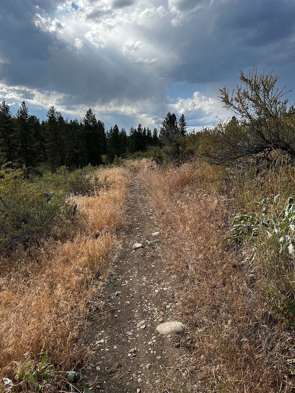 Meadowhawk Trail Mountain Biking Trail Winthrop, WA