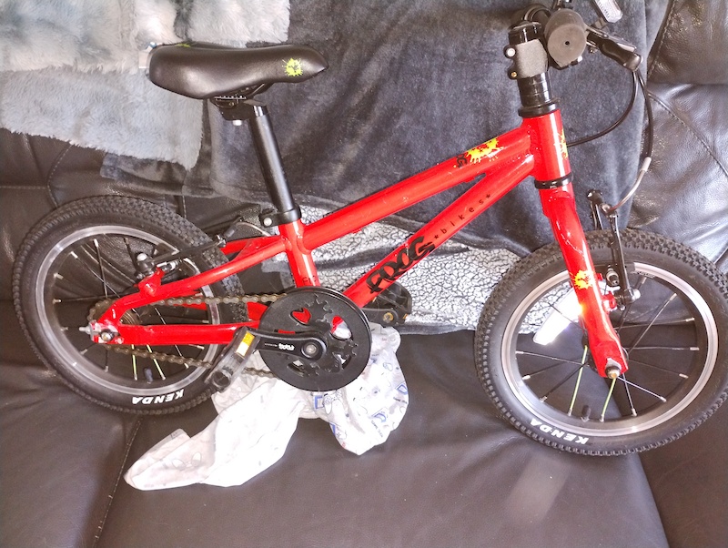 2022-frog-40-small-for-sale