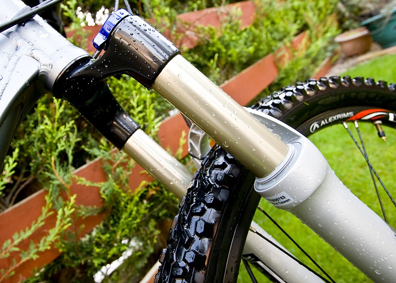 Gold uppers on my Recon Race 100mm forks