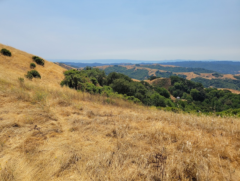 JWRS Single Track Mountain Biking Trail - Alamo, CA