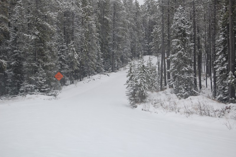 Fresh snow on the road up. It was sketchy!