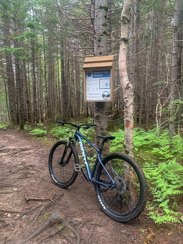 Mike Rae Trail Mikey's Trail Mountain Biking Trail - Corner Brook