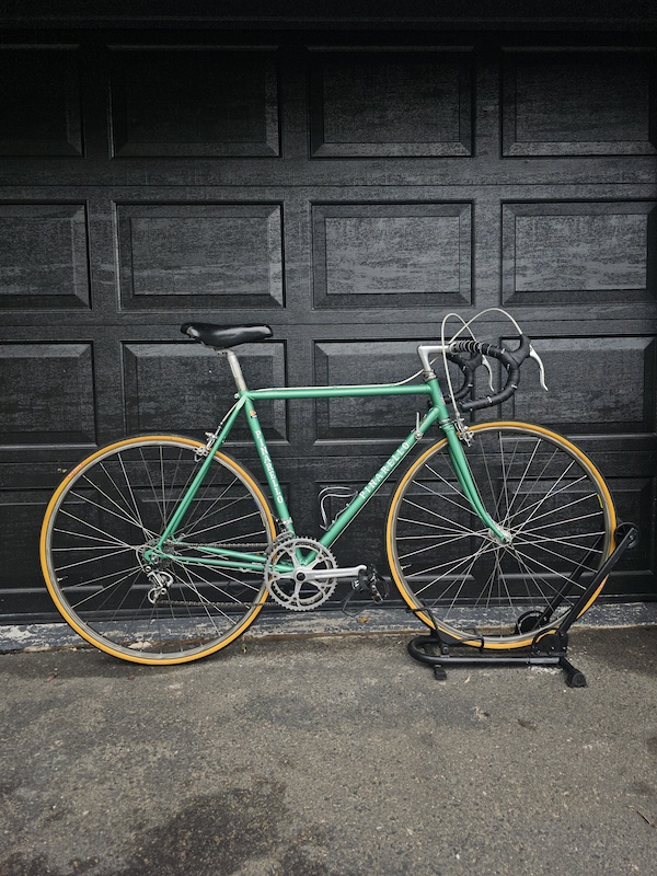 PINARELLO CATENA ピナレロ　TREVISO MARCA DEP p4pb27052219.jpg