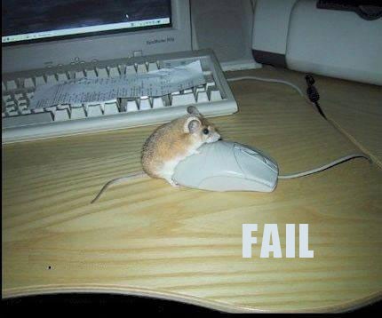 Mouse Fail