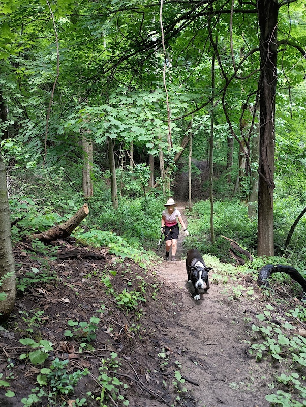 BACKWOODS, Fairport Mountain Biking Trails | Trailforks