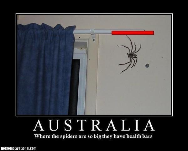 big ass spider