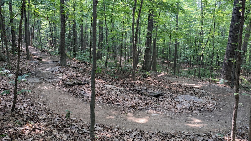 Channery Multi Trail - Naples, New York | Trailforks