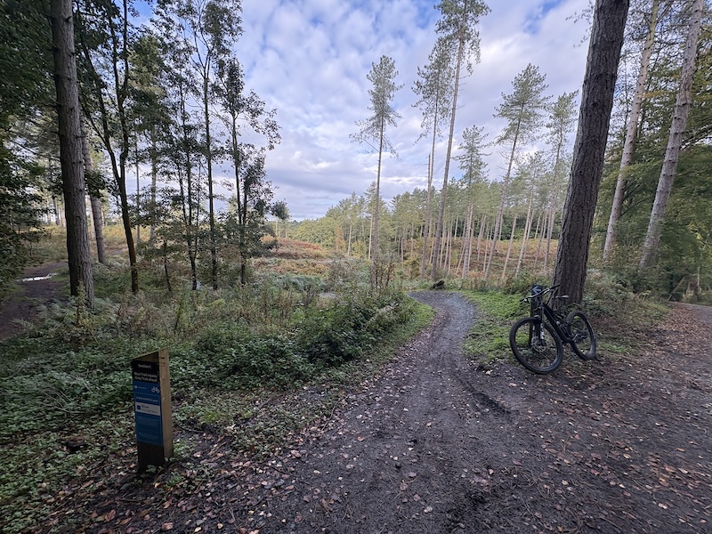 Blue Trail Mountain Biking Trail - Delamere | Trailforks