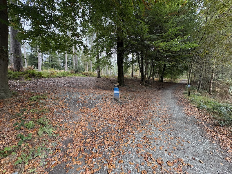 Blue Trail Mountain Biking Trail - Delamere | Trailforks