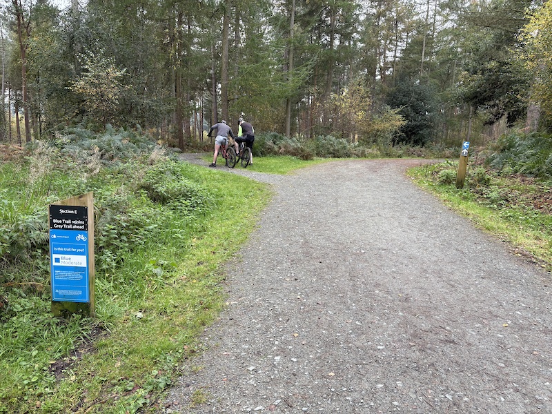 Blue Trail Mountain Biking Trail - Delamere | Trailforks