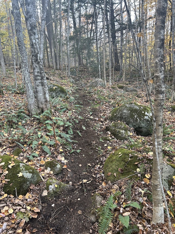 Lower Erosion Motion Mountain Biking Trail Fayette