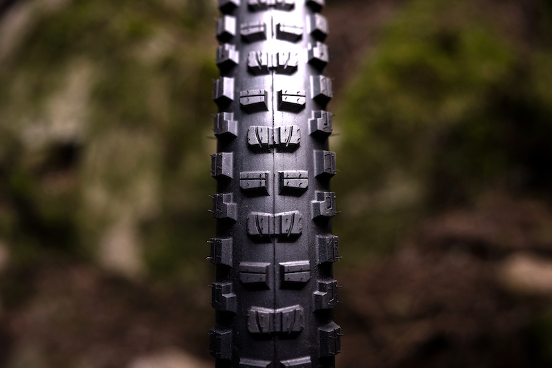 Bontrager Releases New Brevard & Galbraith Tires - Pinkbike