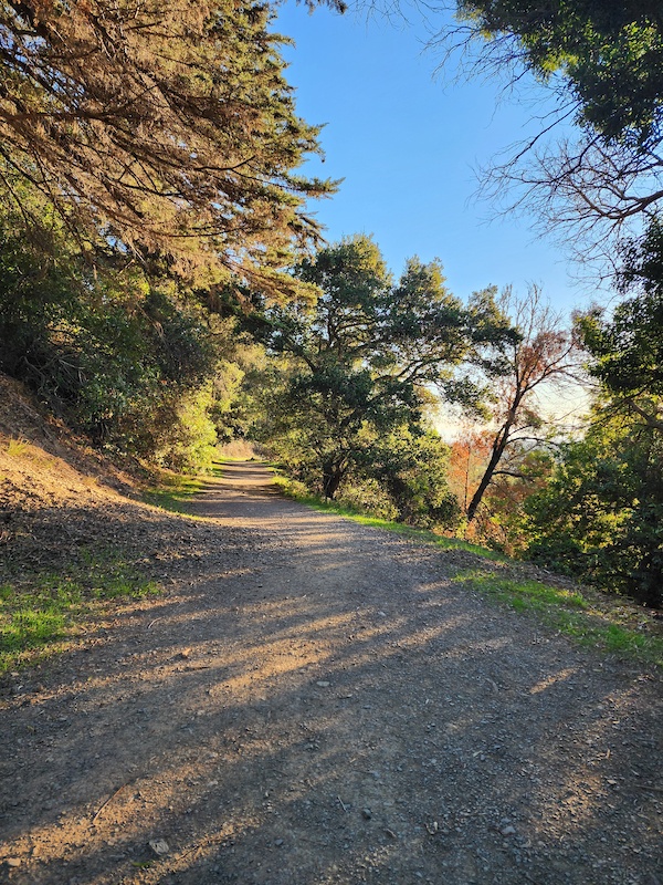 Bridgeview Mountain Biking Trail - Oakland, California