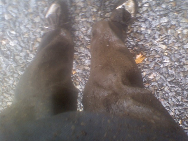 my really, really muddy pants at highlands closing day